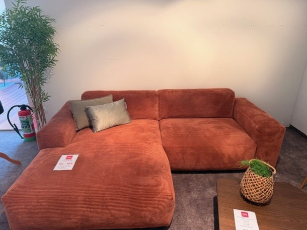 Flexlux salon Lucera - 2